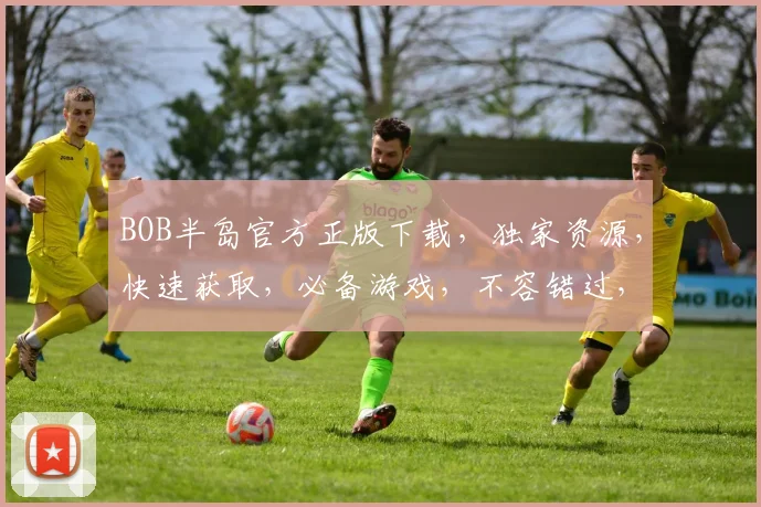 BOB半岛官方正版下载，独家资源，快速获取，必备游戏，不容错过，两重惊喜