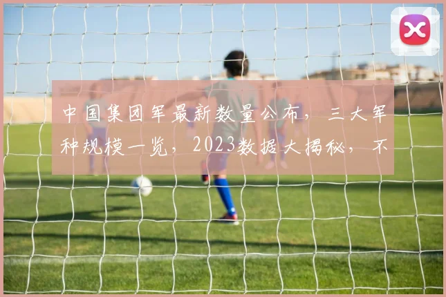 中国集团军最新数量公布，三大军种规模一览，2023数据大揭秘，不容错过