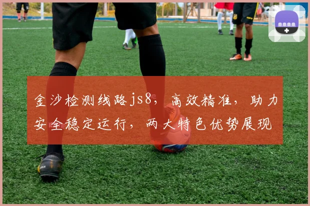 金沙检测线路js8，高效精准，助力安全稳定运行，两大特色优势展现无遗